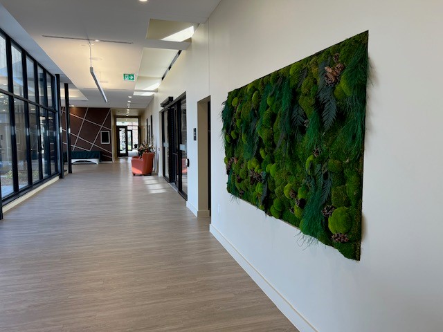 The moss wall at Highland Park