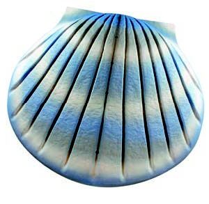 Shell Deep Water Aqua